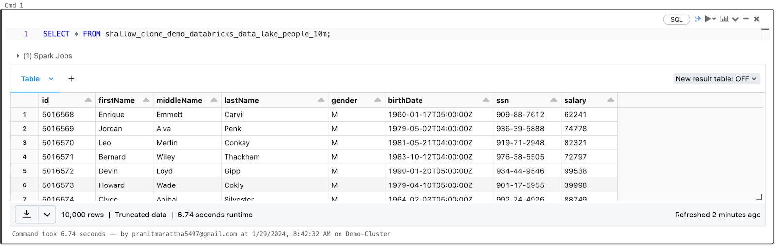 Selecting all the records present in the Shallow-cloned Databricks Delta Table - Databricks Delta Lake.